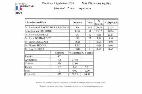 Résultats Élections législatives du 30 juin 2024