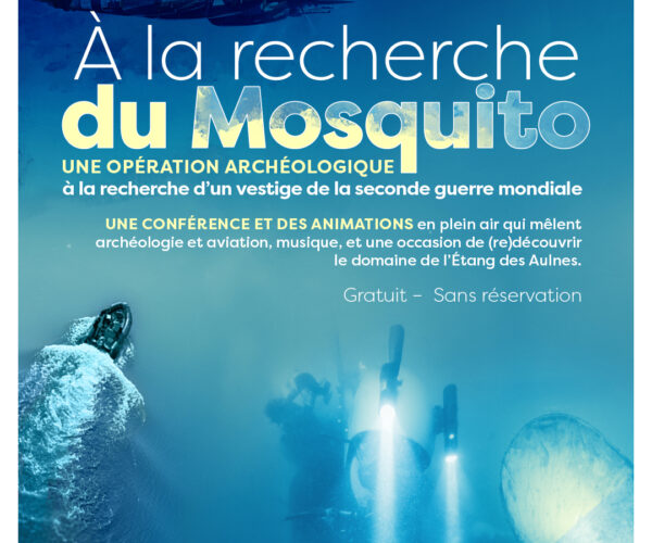 À la recherche du Mosquito – 20 juin 2025