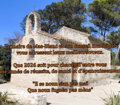 Bonne année et meilleurs vœux pour cette année 2026