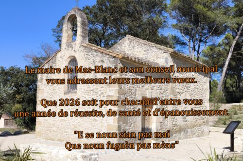 Bonne année et meilleurs vœux pour cette année 2026