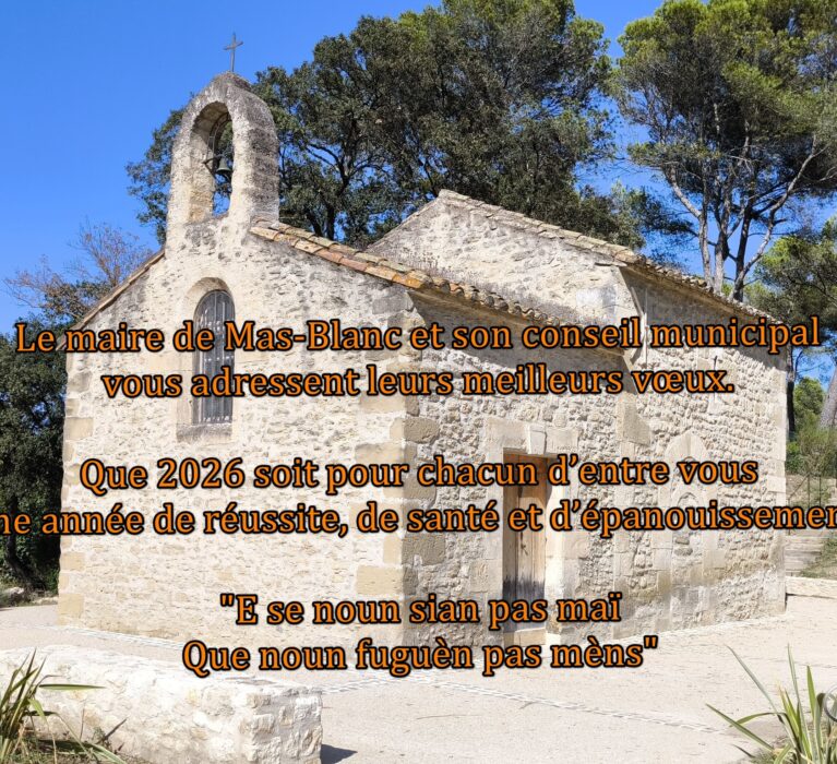 Bonne année et meilleurs vœux pour cette année 2026