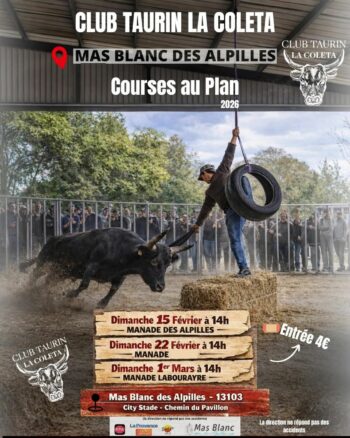 🐂🔥 COURSES AU PLAN – 2026 🔥🐂