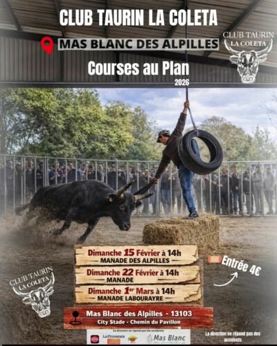 🐂🔥 COURSES AU PLAN – 2026 🔥🐂